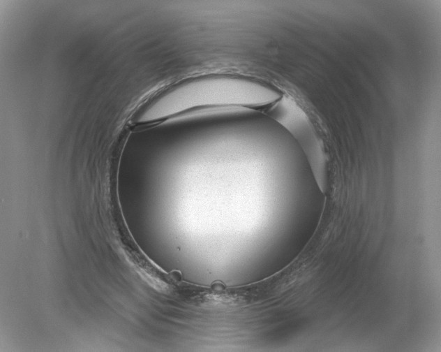 X0000078890442200612042054