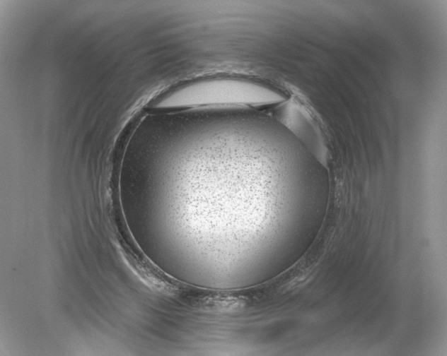 X0000078890443200612042054