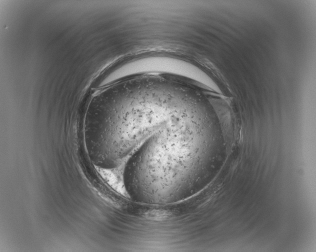 X0000078890444200612042054