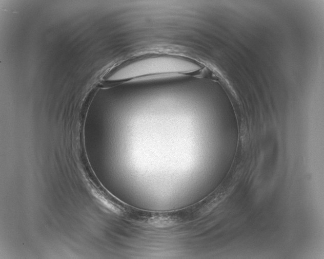 X0000078890445200612042054