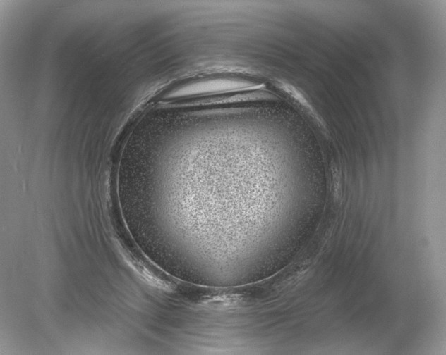 X0000078890447200612042054