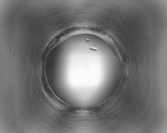 X0000078890448200612042054