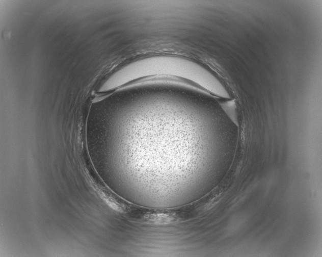 X0000078890449200612042054