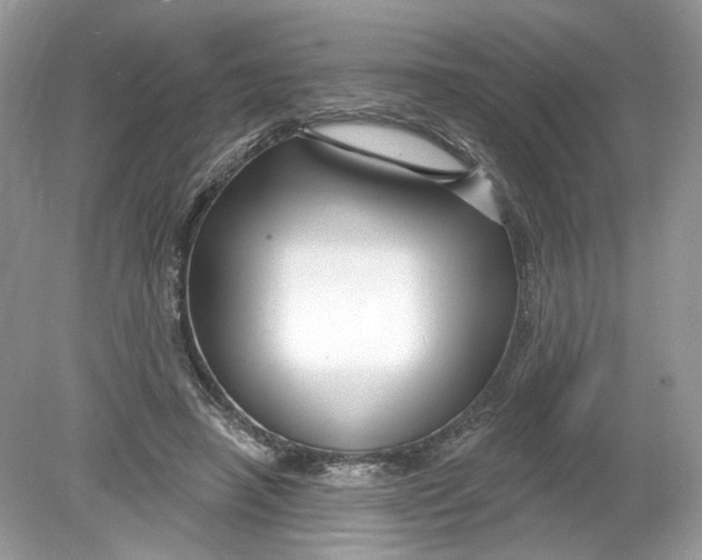 X0000078890450200612042054