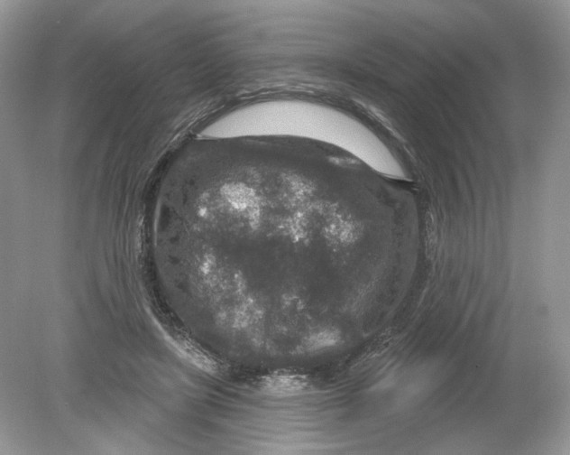 X0000078890451200612042054