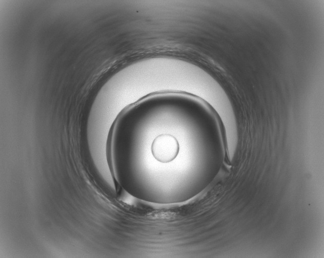 X0000078890452200612042054