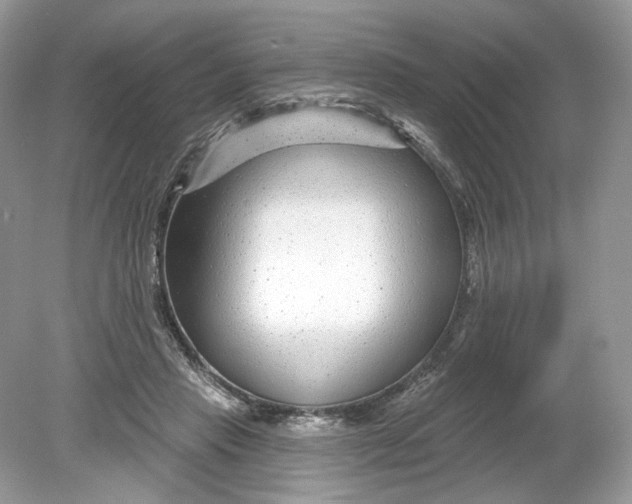 X0000078890453200612042054