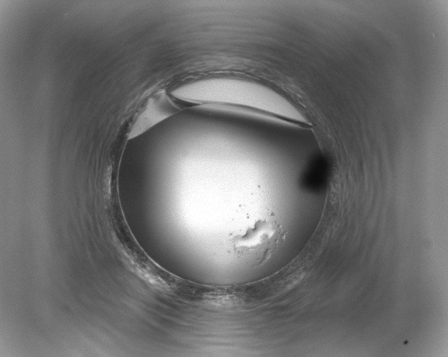 X0000078890454200612042054