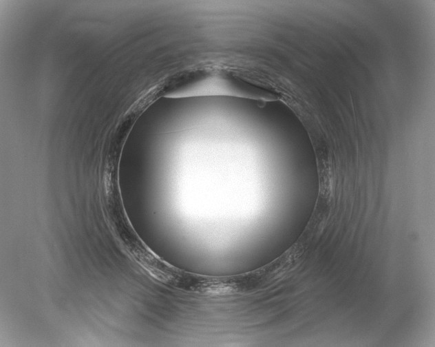 X0000078890456200612042054