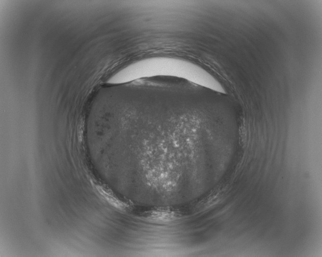 X0000078890458200612042054