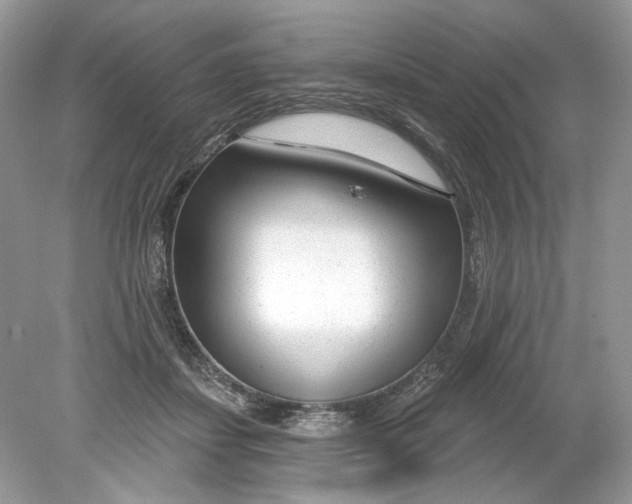 X0000078890459200612042054