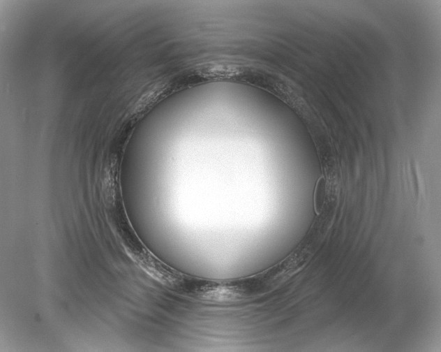 X0000078890460200612042054