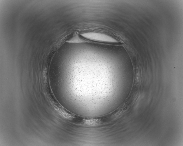 X0000078890461200612042054