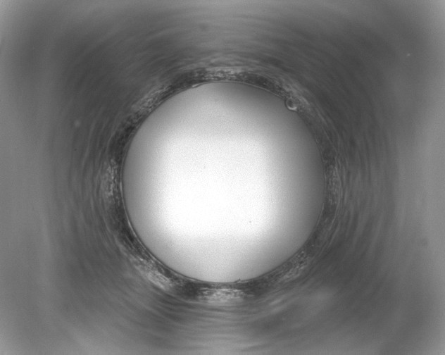 X0000078890463200612042054