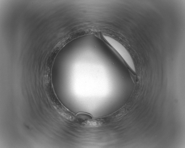 X0000078890464200612042054