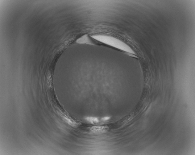 X0000078890465200612042055