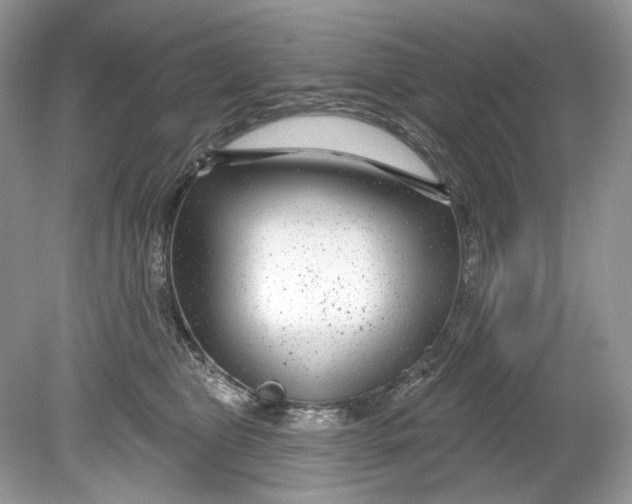 X0000078890469200612042055