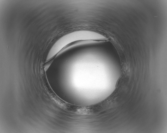 X0000078890470200612042055