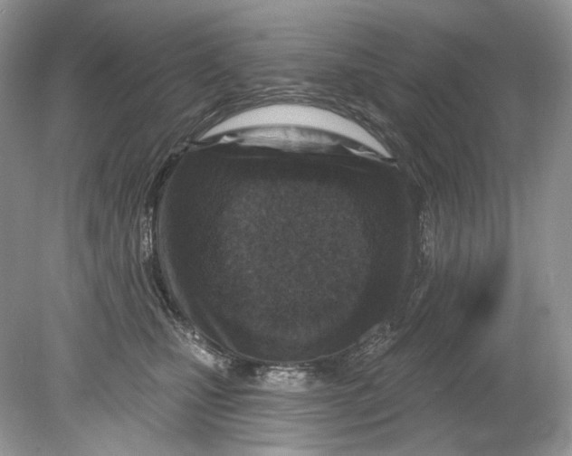 X0000078890471200612042055