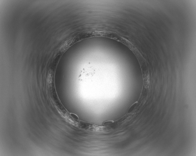 X0000078890472200612042055