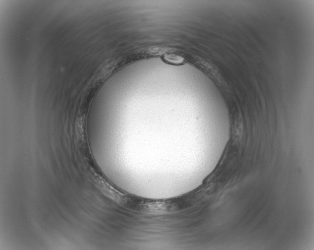 X0000078890473200612042055