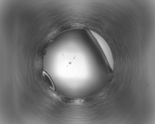 X0000078890474200612042055