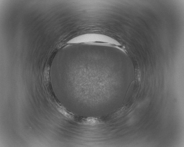 X0000078890475200612042055