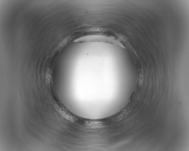 X0000078890476200612042055