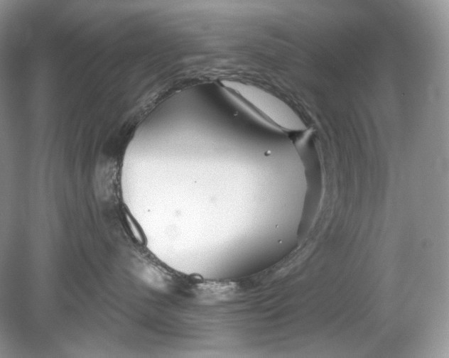 X0000078890480200612042055