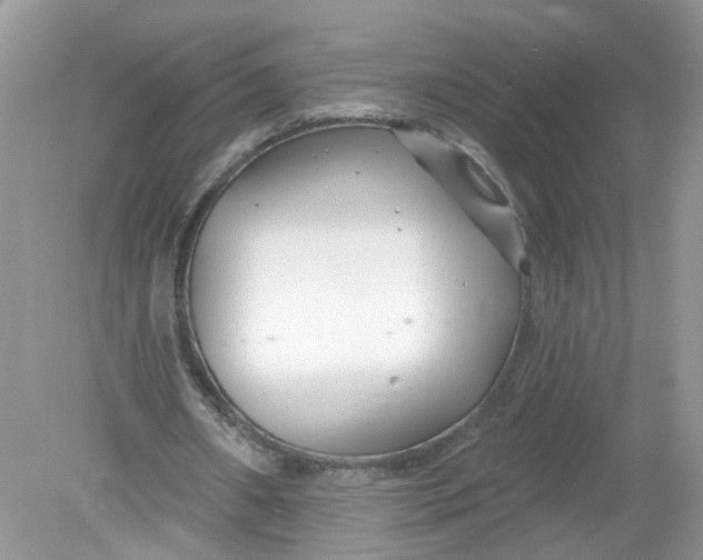 X0000078890482200612042054