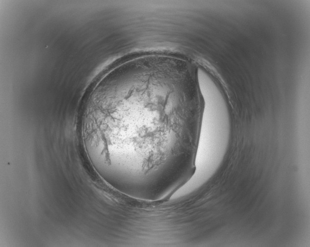 X0000078890483200612042054