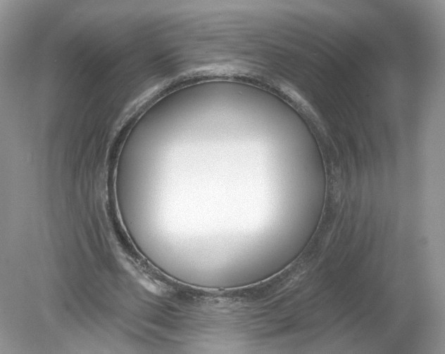 X0000078890486200612042054