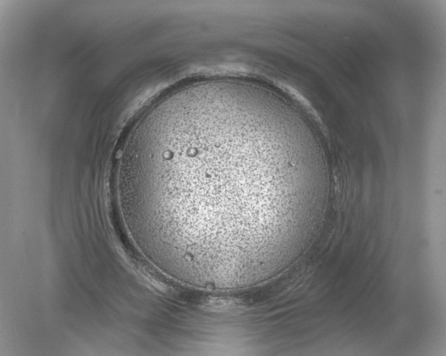 X0000078890487200612042054