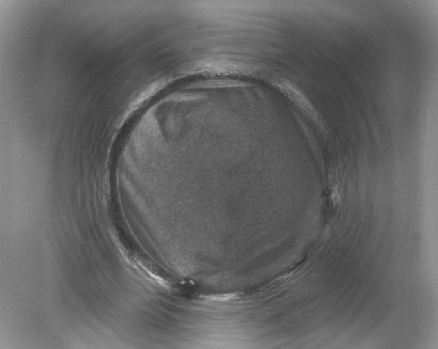 X0000078890488200612042054