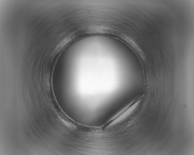 X0000078890489200612042054