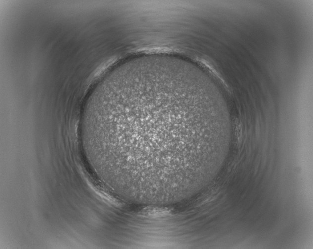 X0000078890491200612042054