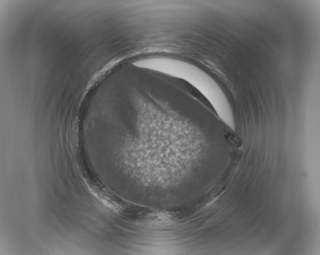 X0000078890492200612042054