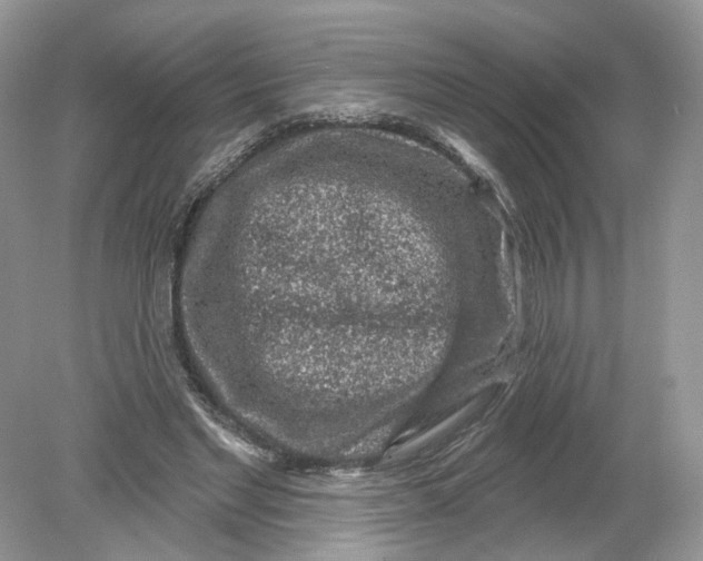 X0000078890493200612042054