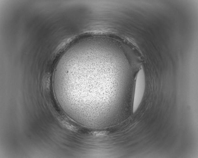 X0000078890495200612042054