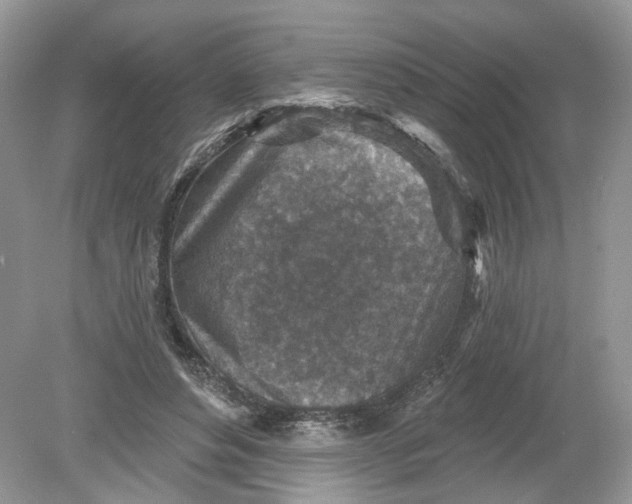 X0000078890496200612042054