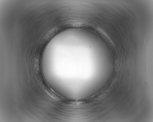 X0000078890497200612042054