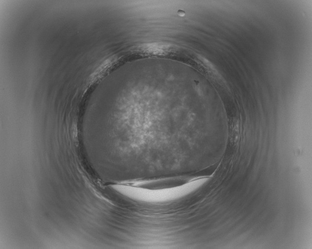 X0000078890500200612042054