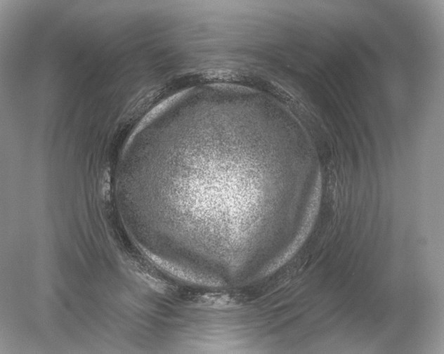 X0000078890502200612042054