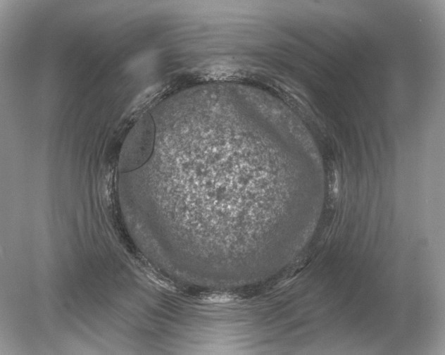 X0000078890503200612042054