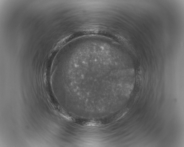 X0000078890504200612042054