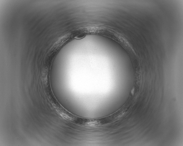 X0000078890505200612042054