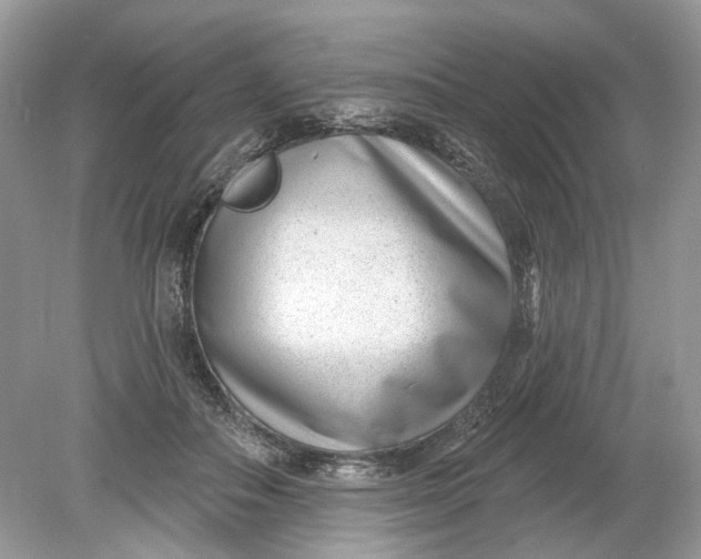 X0000078890506200612042054