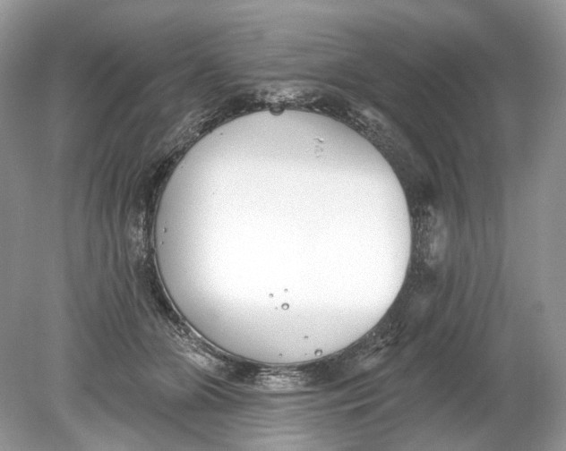 X0000078890510200612042053