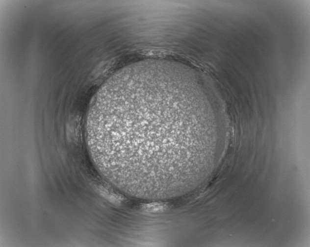 X0000078890511200612042053