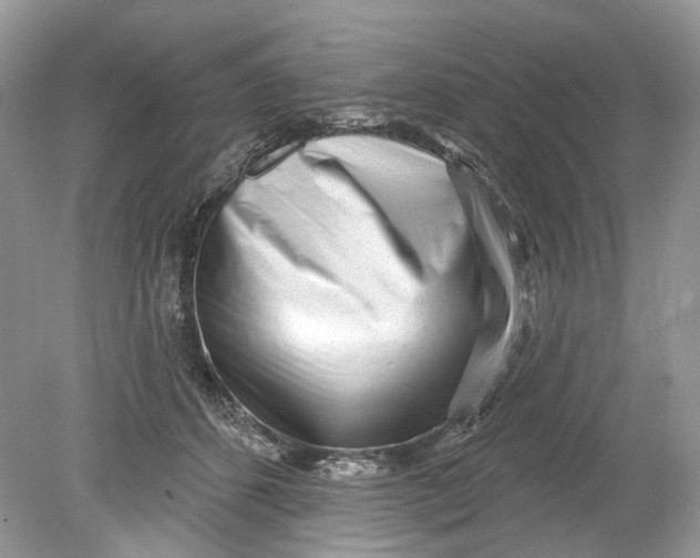 X0000078890512200612042053